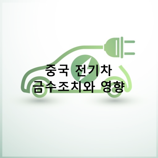 중국 전기차 금수조치