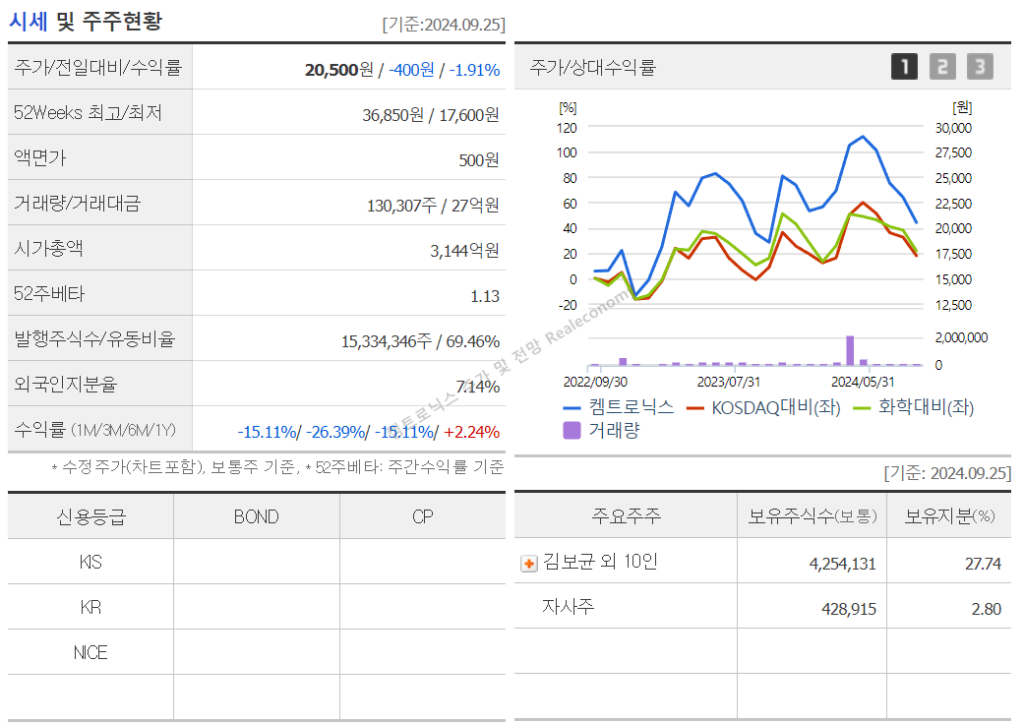 켐트로닉스 주가 및 전망 기업구조