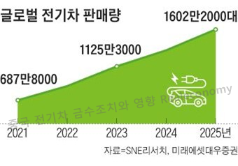 중국 전기차 금수조치 판매량