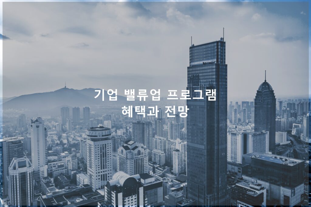 기업 밸류업 프로그램