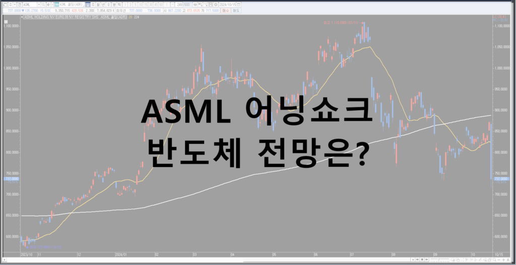 ASML 어닝쇼크